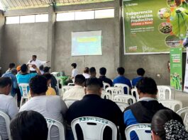 Agricultores del Valle del Chira son capacitados para frenar la expansión del hongo Fusarium oxysporum Agricultores del Valle del Chira son capacitados para frenar la expansión del hongo Fusarium oxysporum