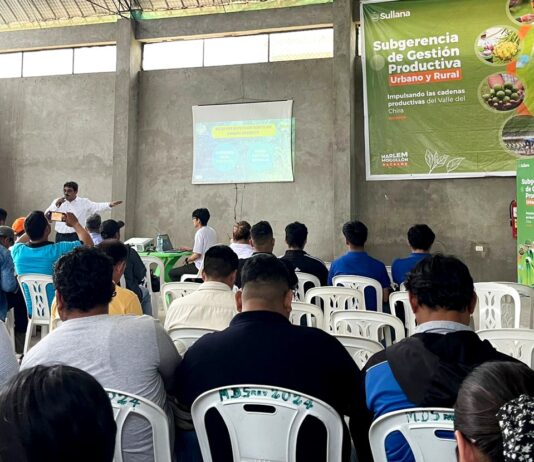 Agricultores del Valle del Chira son capacitados para frenar la expansión del hongo Fusarium oxysporum Agricultores del Valle del Chira son capacitados para frenar la expansión del hongo Fusarium oxysporum