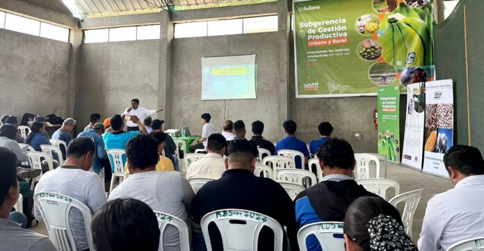 Agricultores del Valle del Chira son capacitados para frenar la expansión del hongo Fusarium oxysporum