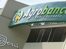 Aprueban ley que permite al Fondo Agroperú comprar deudas por S/. 53 Millones Aprueban ley que permite al Fondo Agroperú comprar deudas por 53 Millones