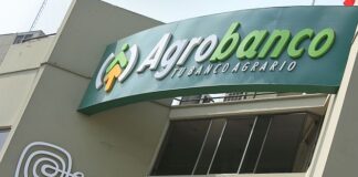 Aprueban ley que permite al Fondo Agroperú comprar deudas por S/. 53 Millones Aprueban ley que permite al Fondo Agroperú comprar deudas por 53 Millones
