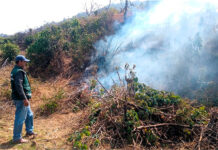 Exhortan a agricultores piuranos a evitar quema de residuos ante riesgo de incendios forestales Exhortan a agricultores piuranos a evitar quema de residuos ante riesgo de incendios forestales