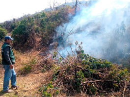 Exhortan a agricultores piuranos a evitar quema de residuos ante riesgo de incendios forestales Exhortan a agricultores piuranos a evitar quema de residuos ante riesgo de incendios forestales