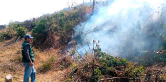 Exhortan a agricultores piuranos a evitar quema de residuos ante riesgo de incendios forestales Exhortan a agricultores piuranos a evitar quema de residuos ante riesgo de incendios forestales