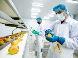 Perú busca exportar frutas congeladas y pecanas a China Perú busca exportar frutas congeladas y pecanas a China