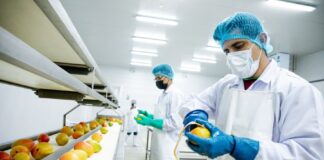 Perú busca exportar frutas congeladas y pecanas a China Perú busca exportar frutas congeladas y pecanas a China