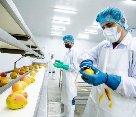Perú busca exportar frutas congeladas y pecanas a China Perú busca exportar frutas congeladas y pecanas a China