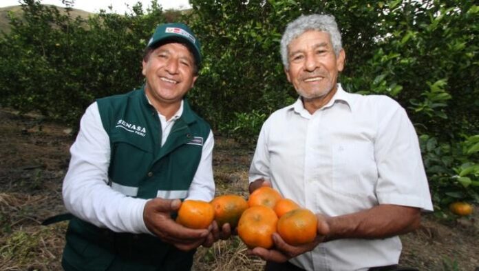 Productores peruanos exportarán cítricos a Nueva Zelanda