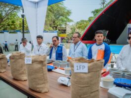 Sondor se lleva el título al mejor café especial 2024 Sondor se lleva el título al mejor café especial 2024