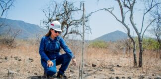 Enosa reforesta Suyo con 1500 plantones Enosa reforesta Suyo con 1500 plantones