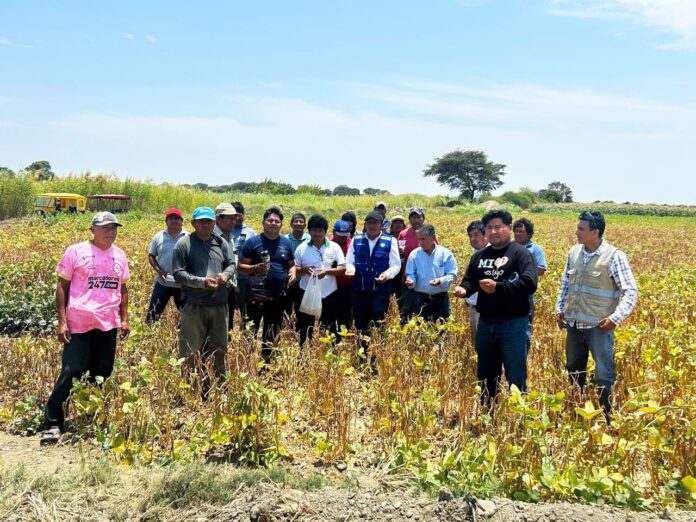 GORE capacita a agricultores de Sechura en técnicas de cultivo