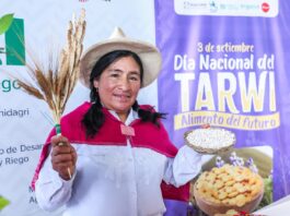 30 mil familias de agricultores generan ingresos con el cultivo de tarwi 30 mil familias de agricultores generan ingresos con el cultivo de tarwi