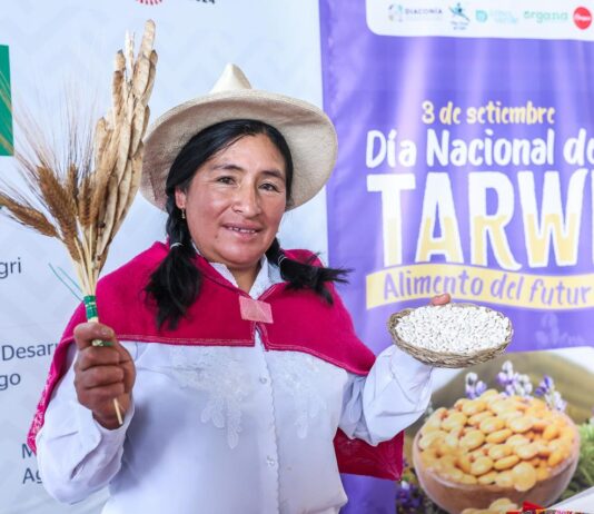 30 mil familias de agricultores generan ingresos con el cultivo de tarwi 30 mil familias de agricultores generan ingresos con el cultivo de tarwi