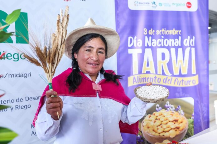 30 mil familias de agricultores generan ingresos con el cultivo de tarwi