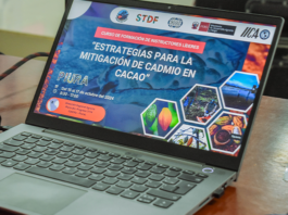 GORE Piura e IICA Brindan Capacitaciones para Mejorar la Calidad del Cacao y Acceder al Mercado Europeo