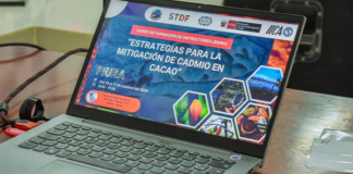 GORE Piura e IICA Brindan Capacitaciones para Mejorar la Calidad del Cacao y Acceder al Mercado Europeo