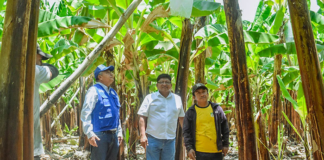 GORE reafirma su compromiso con pequeños agricultores de banano de la Matanza GORE reafirma su compromiso con pequeños agricultores de banano de la Matanza