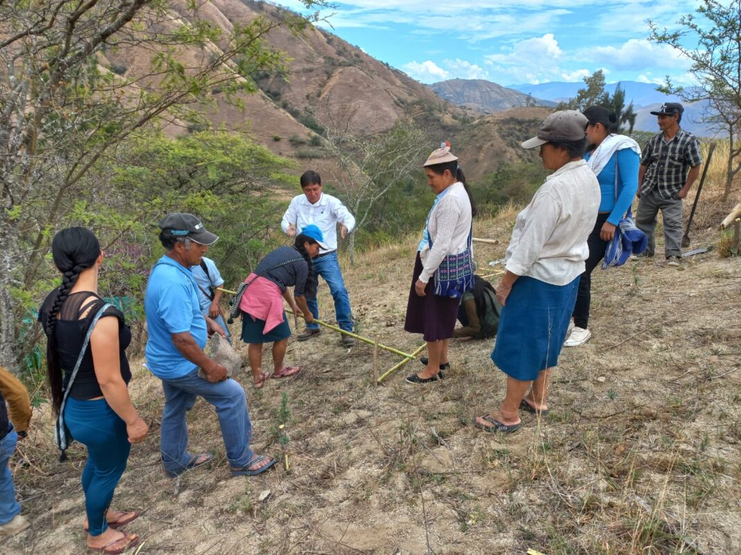 Agricultores de Pacaipampa fortalecen sus técnicas de cultivo de café orgánico con capacitación