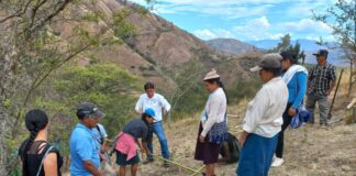 Agricultores de Pacaipampa fortalecen sus técnicas de cultivo de café orgánico con capacitación Agricultores de Pacaipampa fortalecen sus técnicas de cultivo de café orgánico con capacitación