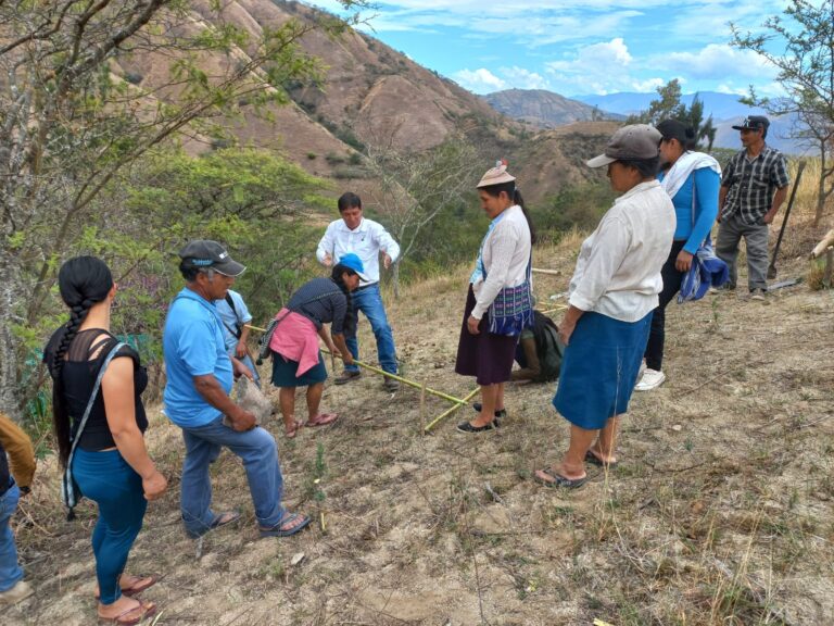 Agricultores de Pacaipampa fortalecen sus técnicas de cultivo de café orgánico con capacitación