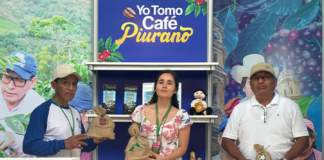 Caficultores piuranos impulsan su presencia internacional en FICAFE 2024 Caficultores piuranos impulsan su presencia internacional en FICAFE 2024