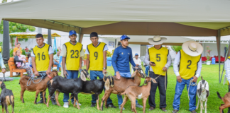 La V Feria Regional de Ganadería Caprina premió a los mejores ejemplares de Piura La V Feria Regional de Ganadería Caprina premió a los mejores ejemplares