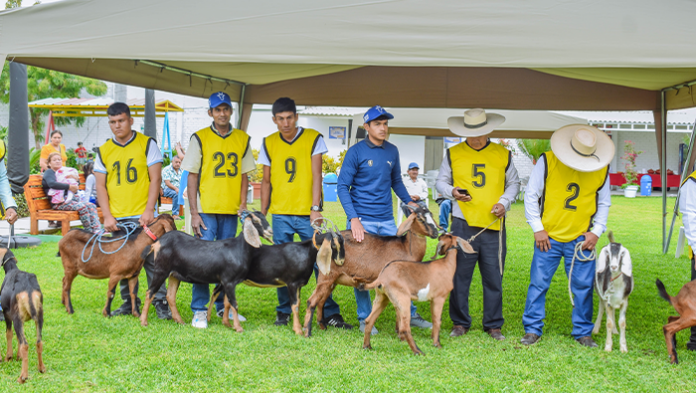 La V Feria Regional de Ganadería Caprina premió a los mejores ejemplares