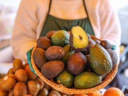 Agroexportaciones registraron ventas por US$ 8 mil millones Agroexportaciones registraron ventas por US$ 8,037 millones en el año