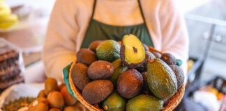 Agroexportaciones registraron ventas por US$ 8 mil millones Agroexportaciones registraron ventas por US$ 8,037 millones en el año