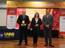 Perú fue el décimo exportador mundial de capsicum en 2023 Perú fue el décimo exportador mundial de capsicum en 2023