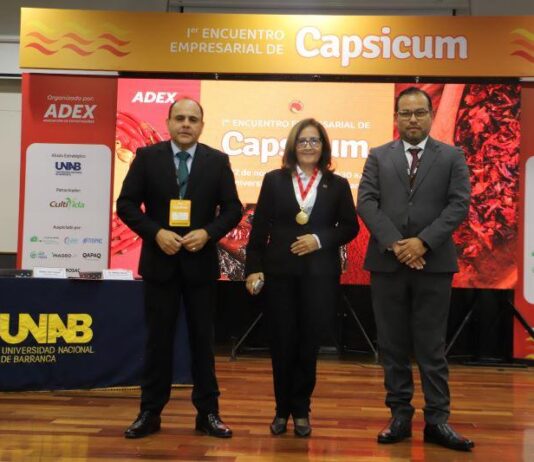 Perú fue el décimo exportador mundial de capsicum en 2023 Perú fue el décimo exportador mundial de capsicum en 2023