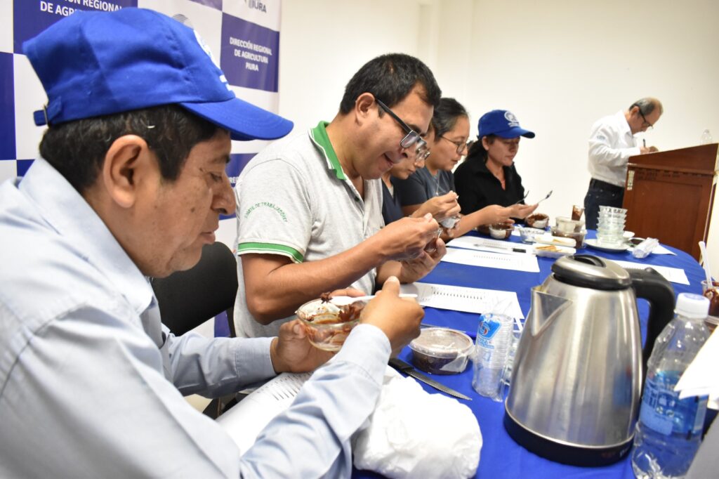 Piura destaca el cacao blanco criollo en el Festival del Chocolate