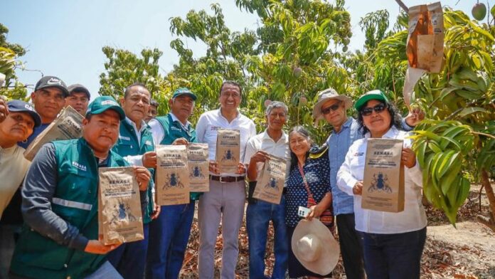 Piura fortalece lucha contra plagas con moderno centro agrícola