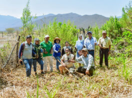 Reservorios aseguran agua para más de 1,400 agricultores Reservorios aseguran agua para más de 1,400 agricultores
