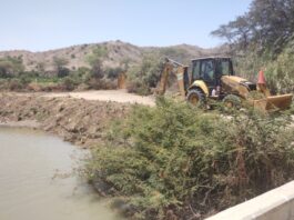Sullana: retiran gran cantidad de vegetación de los alrededores del canal Miguel Checa Sullana: retiran gran cantidad de vegetación de los alrededores del canal Miguel Checa