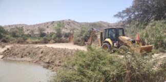 Sullana: retiran gran cantidad de vegetación de los alrededores del canal Miguel Checa Sullana: retiran gran cantidad de vegetación de los alrededores del canal Miguel Checa