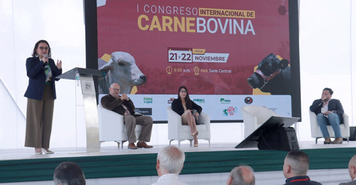 Perú: I Congreso Internacional sobre producción de carne bovina