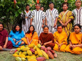 Midagri abonó S/12.3 millones a Proyectos de Reconversión Productiva Agropecuaria Midagri abonó S/12.3 millones en Proyectos de Reconversión Productiva Agropecuaria
