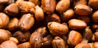 APEC 2024: Perú ampliará exportaciones de productos agropecuarios a China Perú ampliará exportaciones de productos agropecuarios a China próximamente