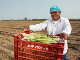 Conoce los avances en la agroexportación peruana durante la Semana de Líderes Económicos de APEC 2024 Avances en la agroexportación peruana durante la Semana de Líderes Económicos de APEC 2024