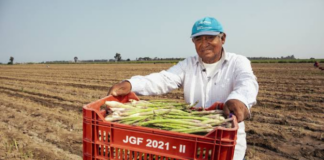 Conoce los avances en la agroexportación peruana durante la Semana de Líderes Económicos de APEC 2024 Avances en la agroexportación peruana durante la Semana de Líderes Económicos de APEC 2024