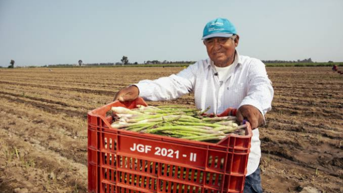 Avances en la agroexportación peruana durante la Semana de Líderes Económicos de APEC 2024