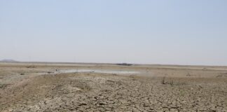 Sequía en Piura: Una crisis que afecta a todos Sequía en Piura: Una crisis que afecta a todos