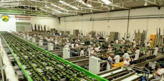 Agroexportadores piuranos podrán postular a convocatoria de la Ruta Productiva Exportadora: aquí todos los detalles Agroexportadores piuranos podrán postular a convocatoria de la Ruta Productiva Exportadora: aquí todos los detalles