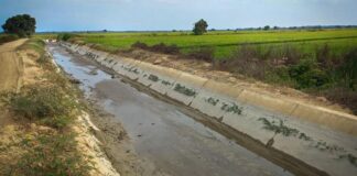 Agro Rural anuncia destrabe del Canal Romero en Tumbes Agro Rural anuncia destrabe del Canal Romero en Tumbes