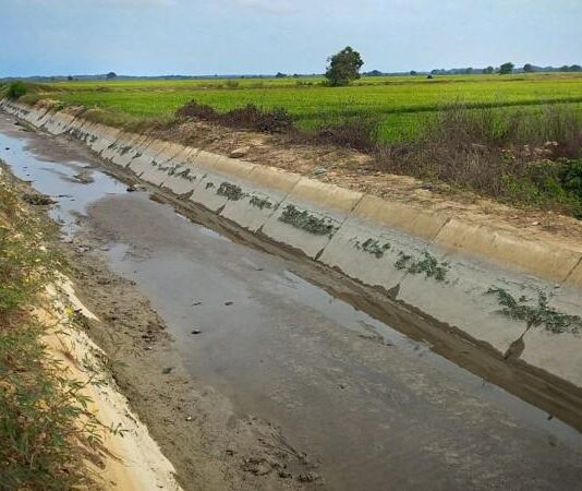 Agro Rural anuncia destrabe del Canal Romero en Tumbes Agro Rural anuncia destrabe del Canal Romero en Tumbes