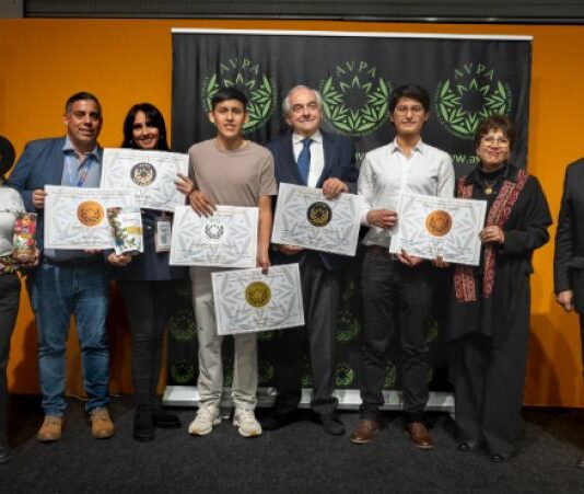 Cusco destaca en competencia mundial con ocho tés ganadores Cusco destaca en competencia mundial con ocho tés ganadores