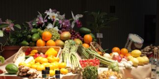 El Perú se consolida como potencia agroexportadora: arándanos, paltas y más en 2024 El Perú se consolida como potencia agroexportadora: arándanos, paltas y más en 2024