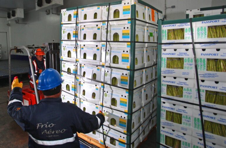 Los envíos a EE.UU. crecieron hasta 2024, pero la nueva administración pone en duda el futuro agroexportador