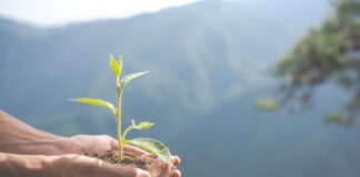 Día Mundial de la Educación Ambiental: 5 consejos para reducir el consumo de electricidad Día Mundial de la Educación Ambiental: 5 consejos para reducir el consumo de electricidad